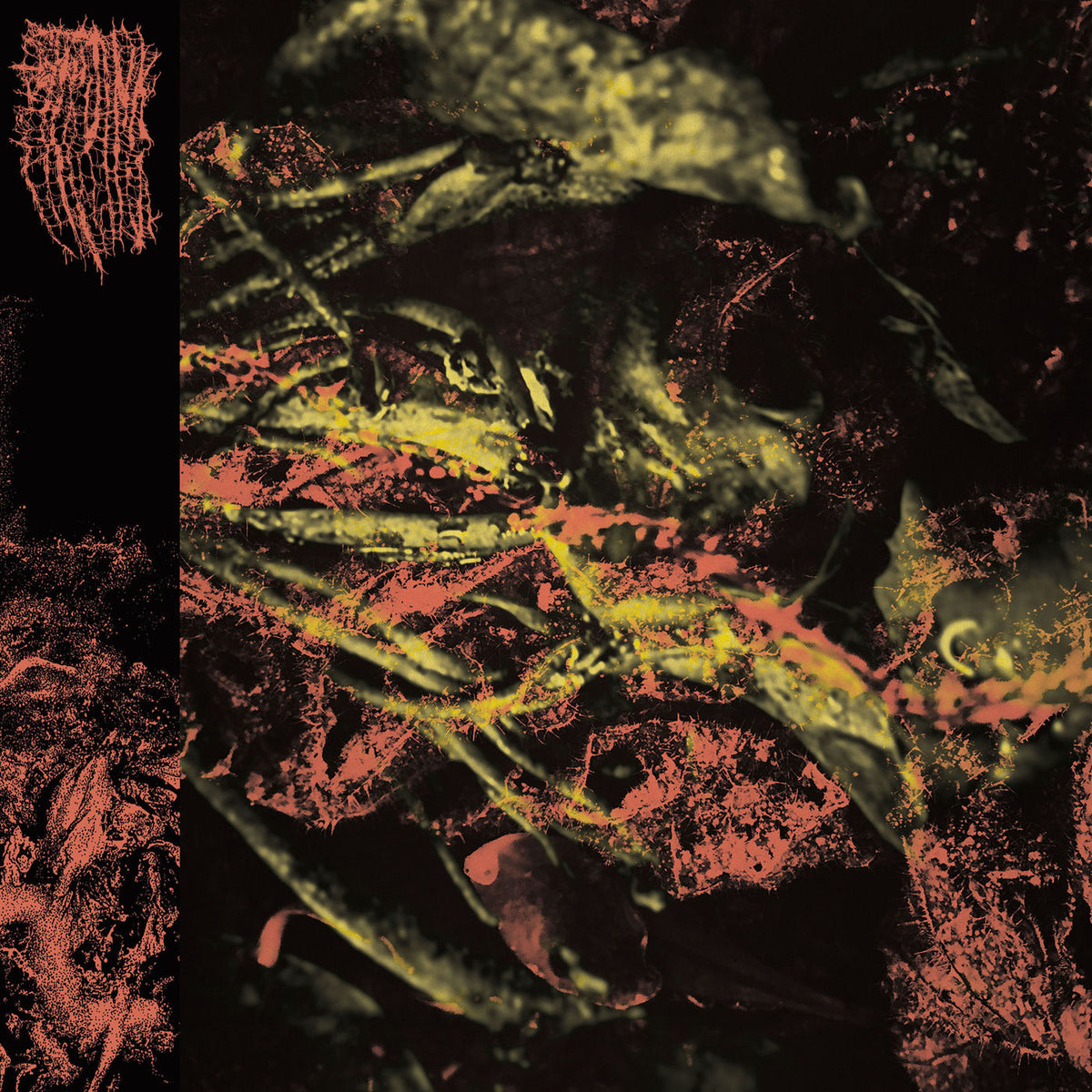 Hissing – Permanent Destitution vinyl record cover