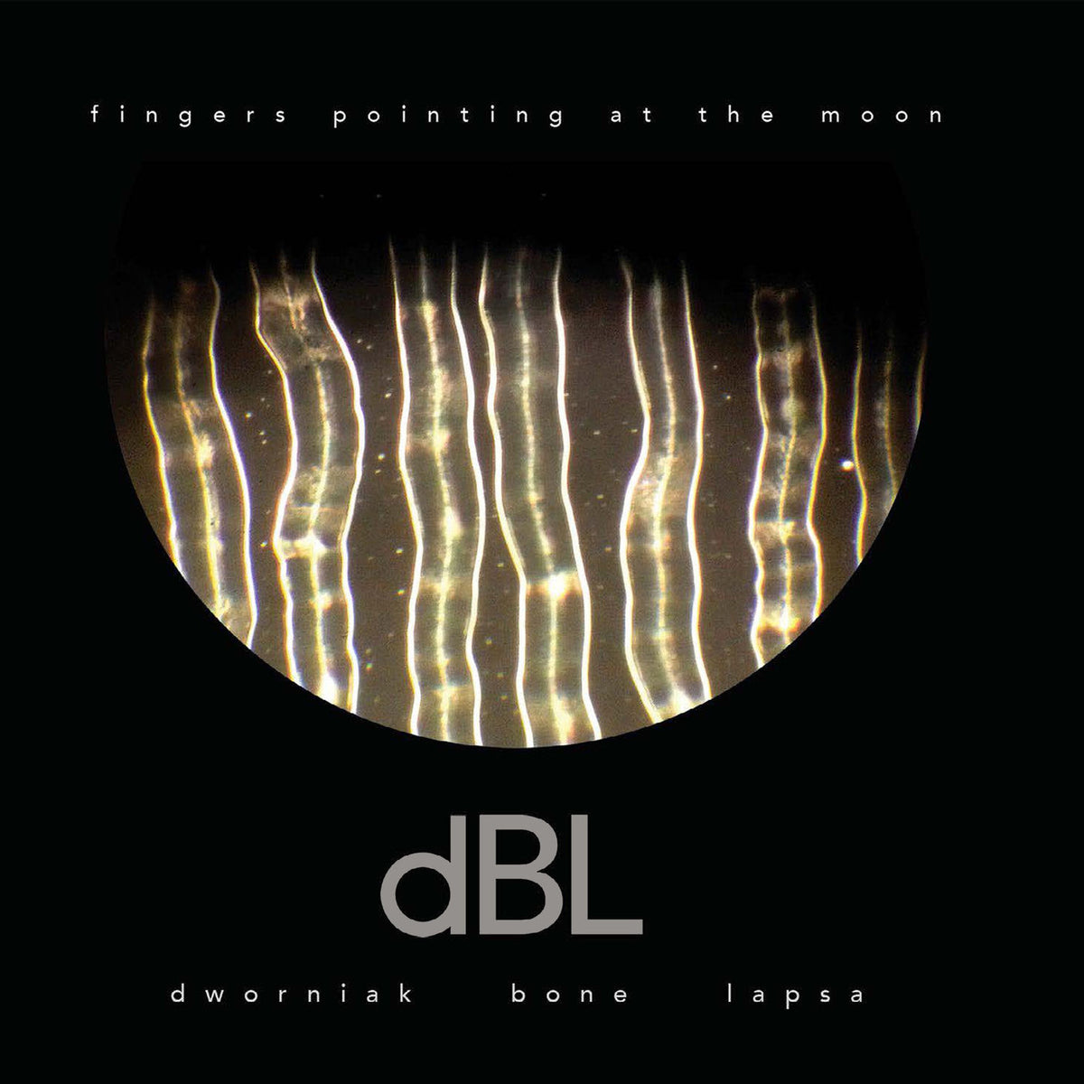 Dworniak Bone Lapsa – Fingers Pointing At The Moon vinyl record cover