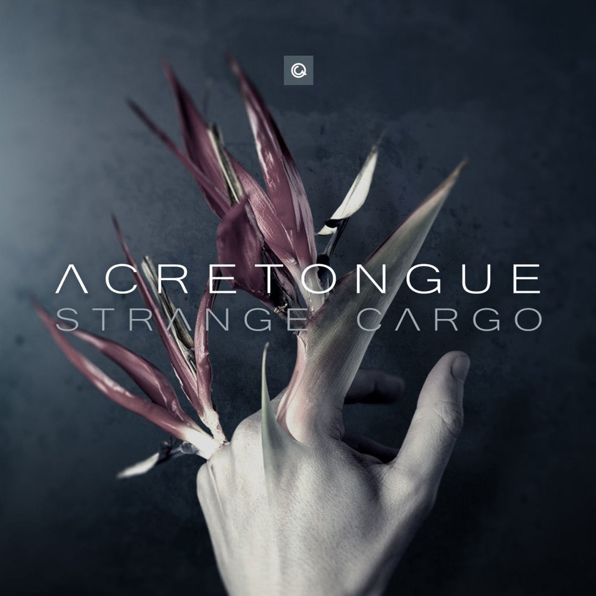 Acretongue – Strange Cargo vinyl record cover