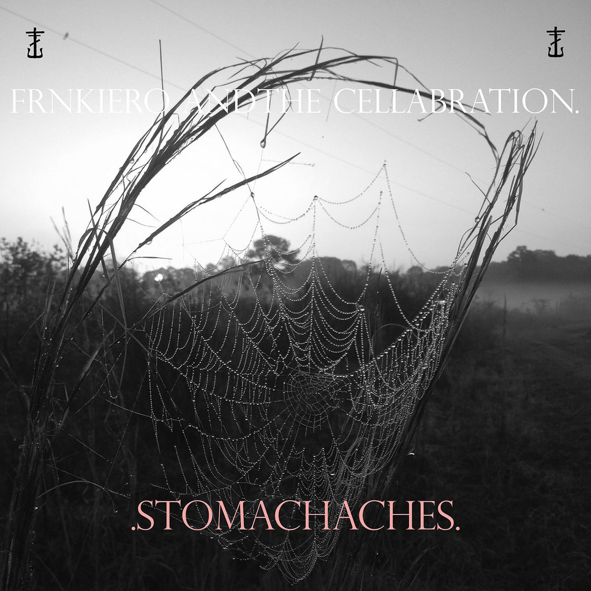 Frnkiero And The Cellabration – Stomachaches [LP] vinyl record cover