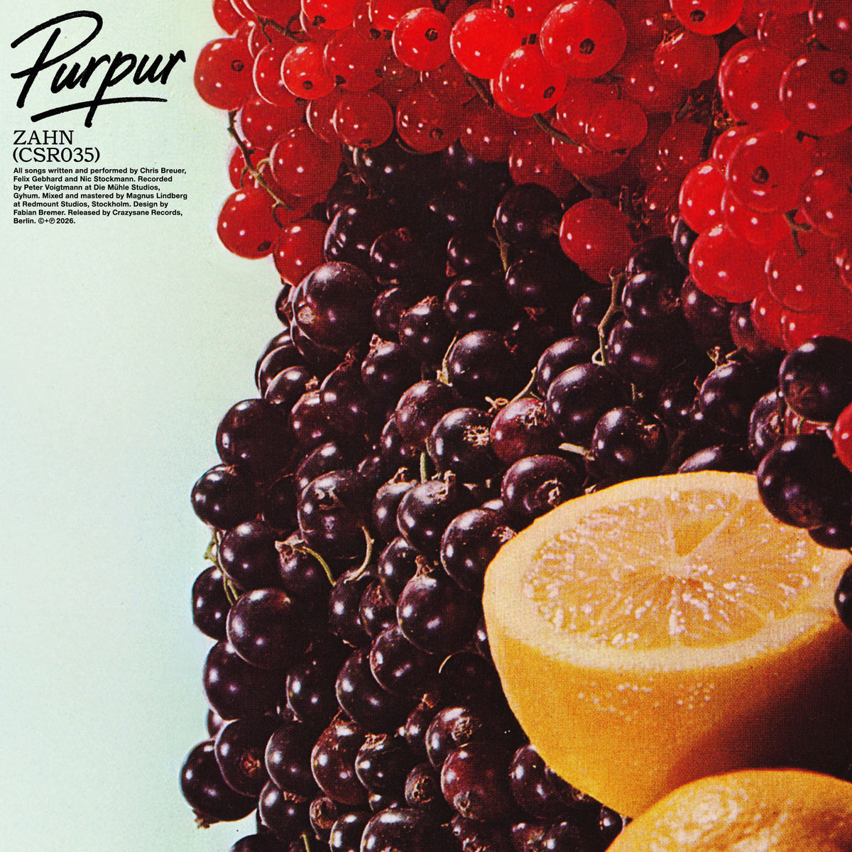 Zahn – Purpur (Coloured Vinyl) vinyl record cover