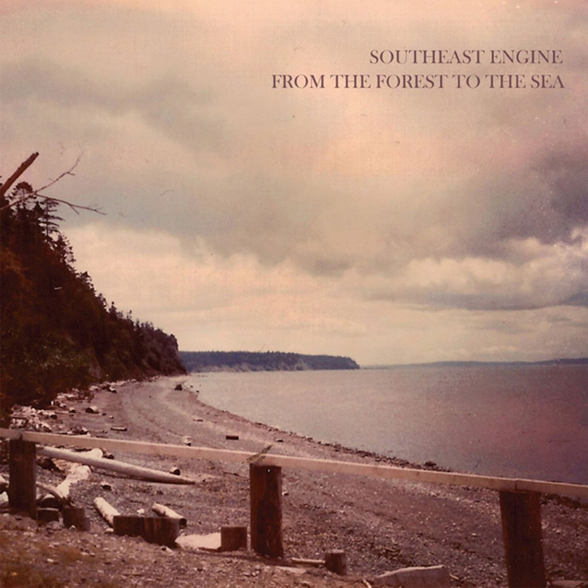 Southeast Engine – From The Forest To The Sea vinyl record cover