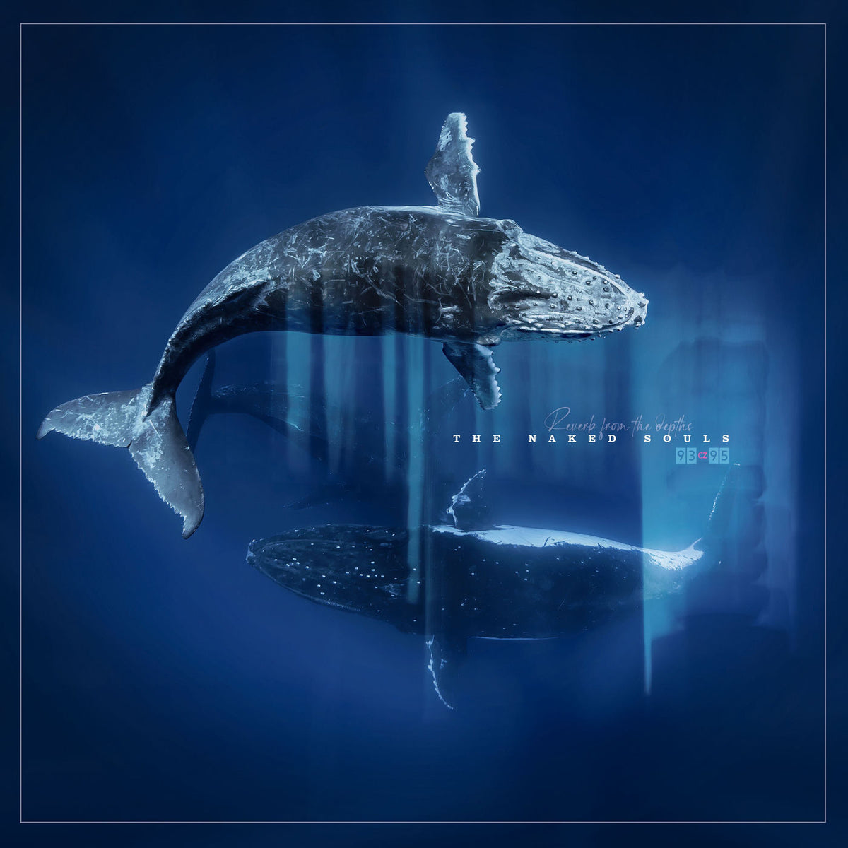 The Naked Souls – Reverb from the Depths vinyl record cover