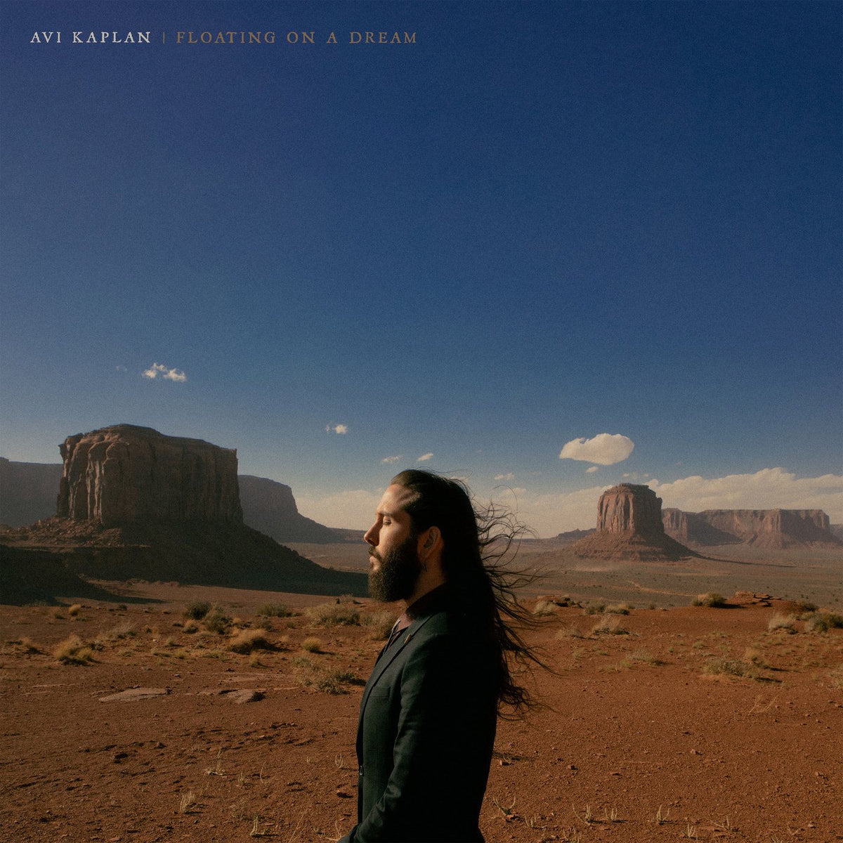 Avi Kaplan – Floating On a Dream vinyl record cover