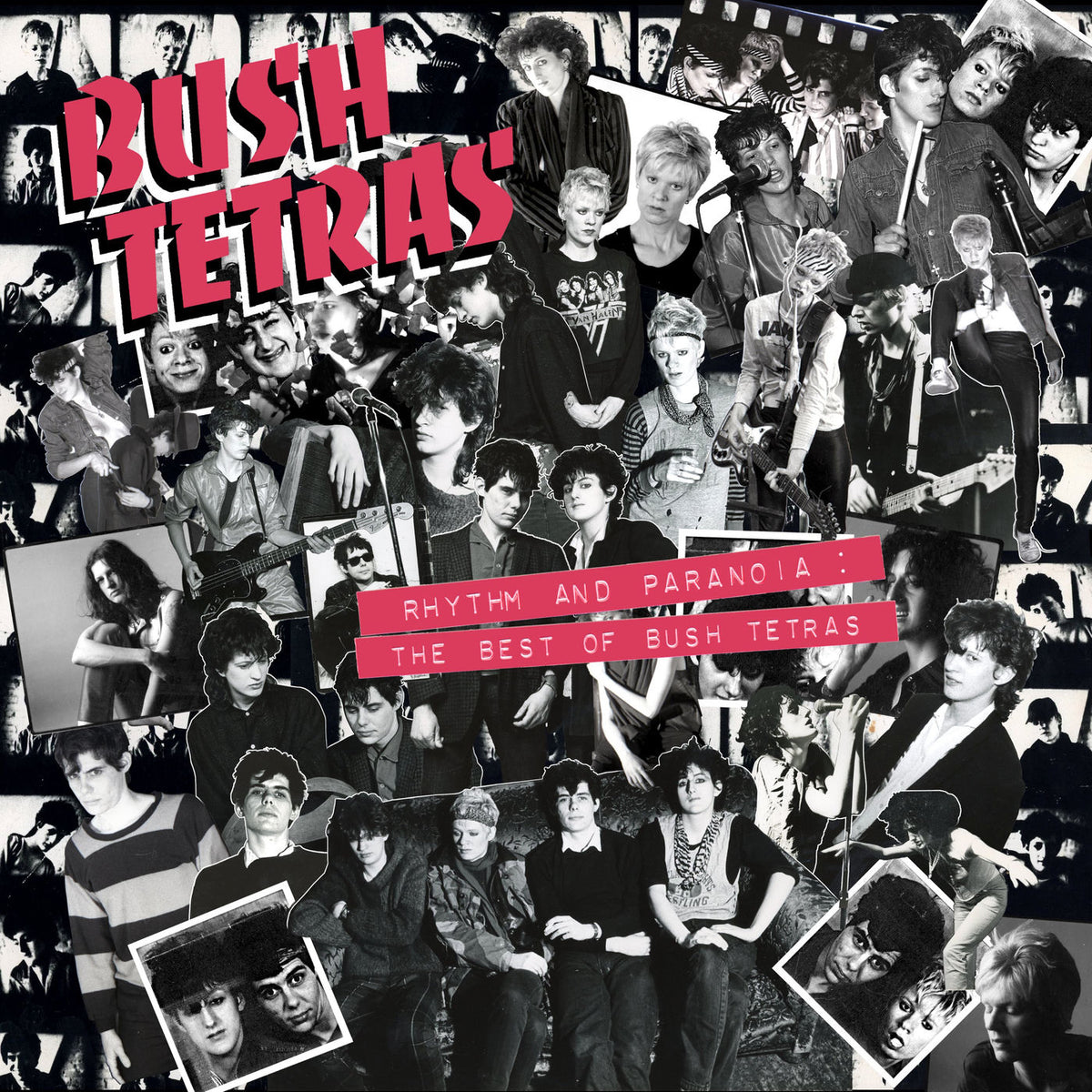 Bush Tetras – Rhythm and Paranoia: The Best of Bush Tetras vinyl cover