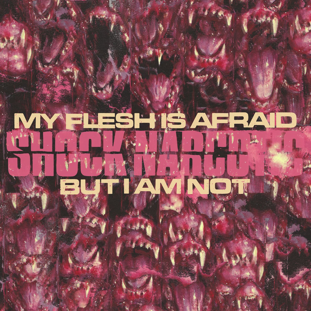 Shock Narcotic – My Flesh Is Afraid But I Am Not vinyl record cover