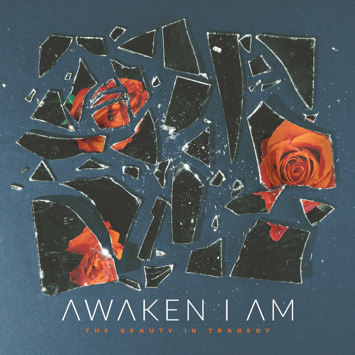 Awaken I Am – The Beauty In Tragedy vinyl cover