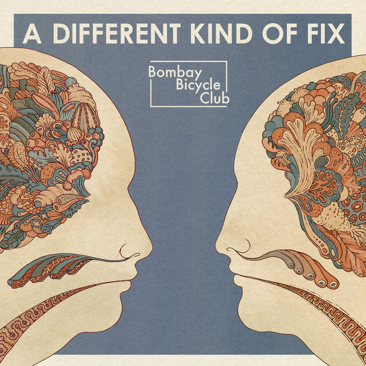 Bombay Bicycle Club – A Different Kind of Fix vinyl record cover