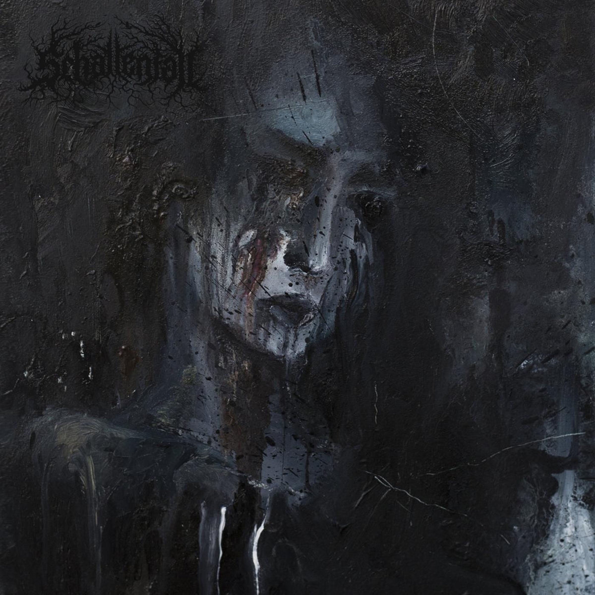 Schattenfall – Schatten In Schwarz (LIMITED) vinyl record cover