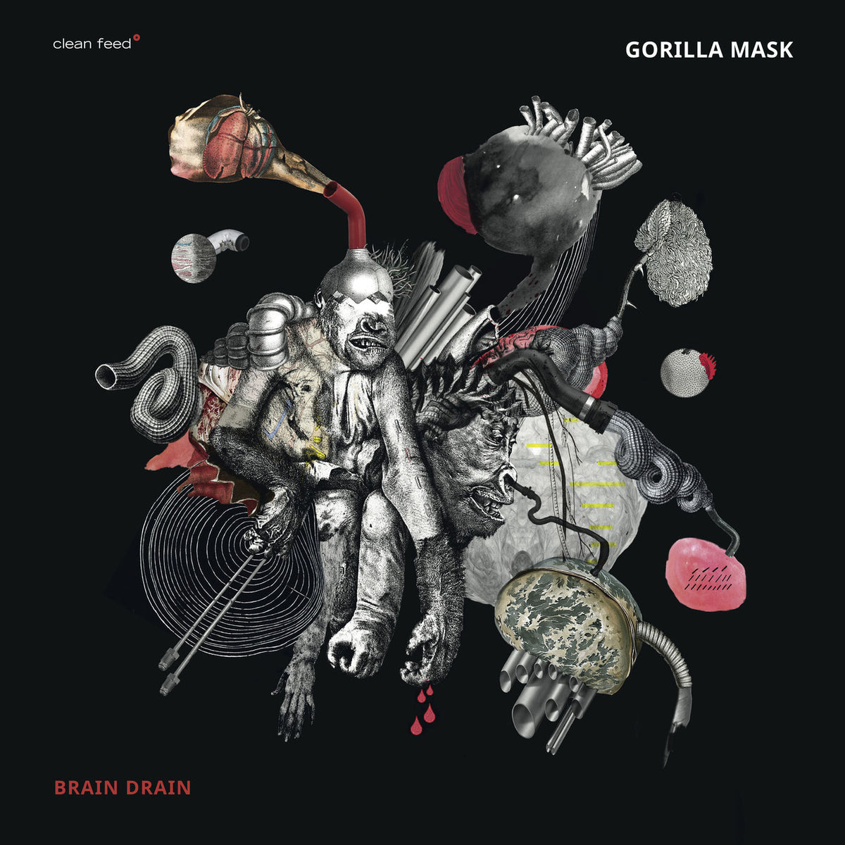Gorilla Mask – Brain Drain vinyl record cover