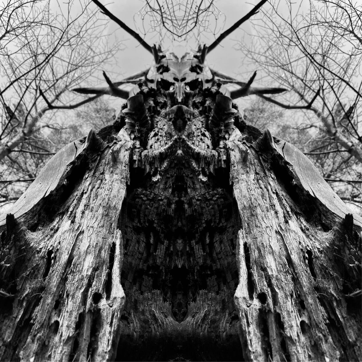Rulaman – To Serve The Dune [LP] (GREEN TRANSPARENT VINYL, IMPORT) vinyl record cover