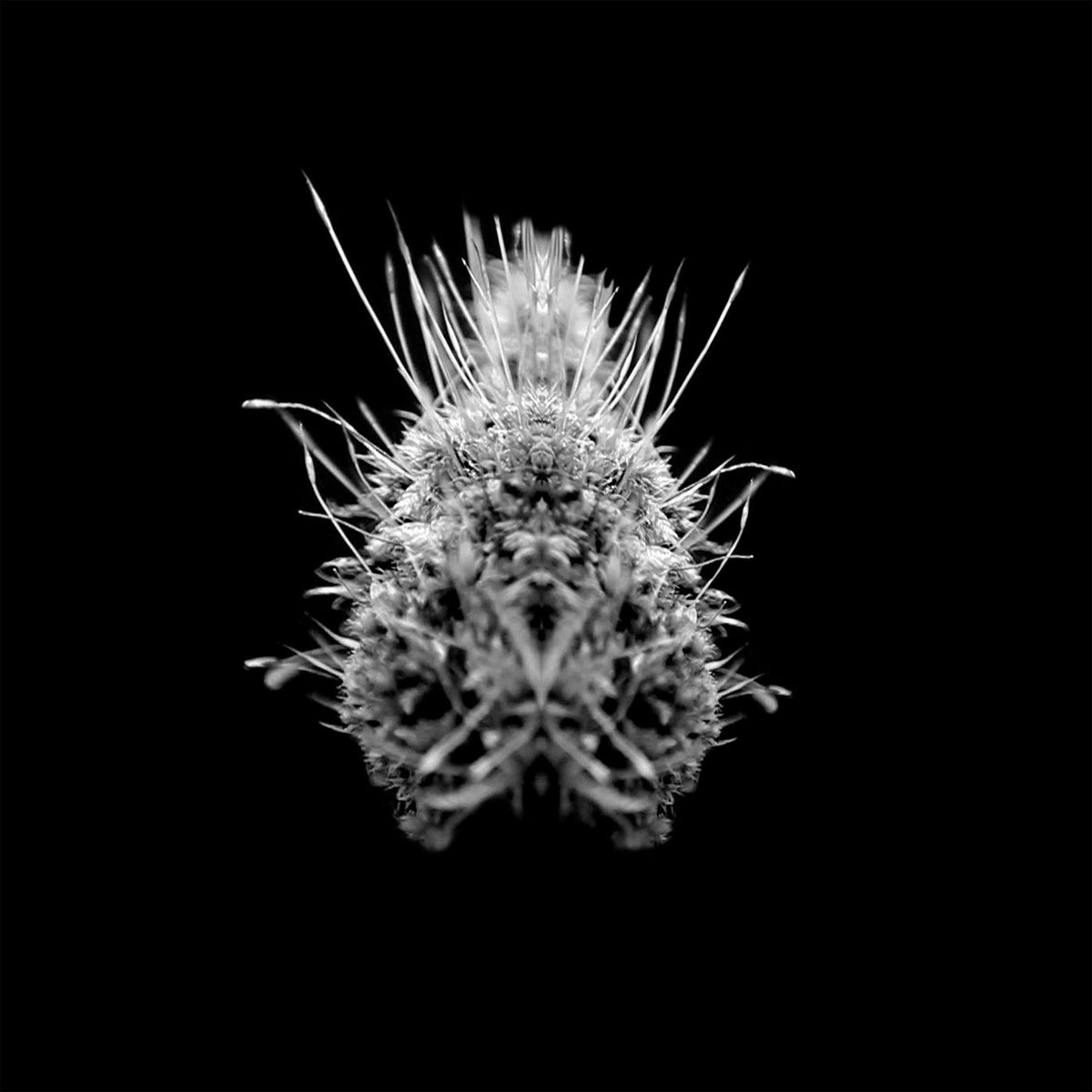 Selm – TiiiER / Post-Adrenaline vinyl cover