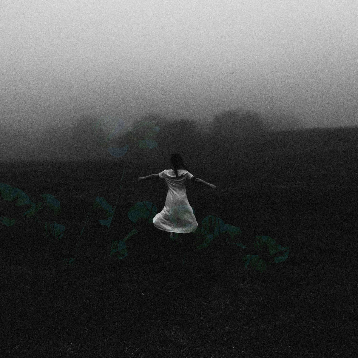 Deerlady – Greatest Hits vinyl cover