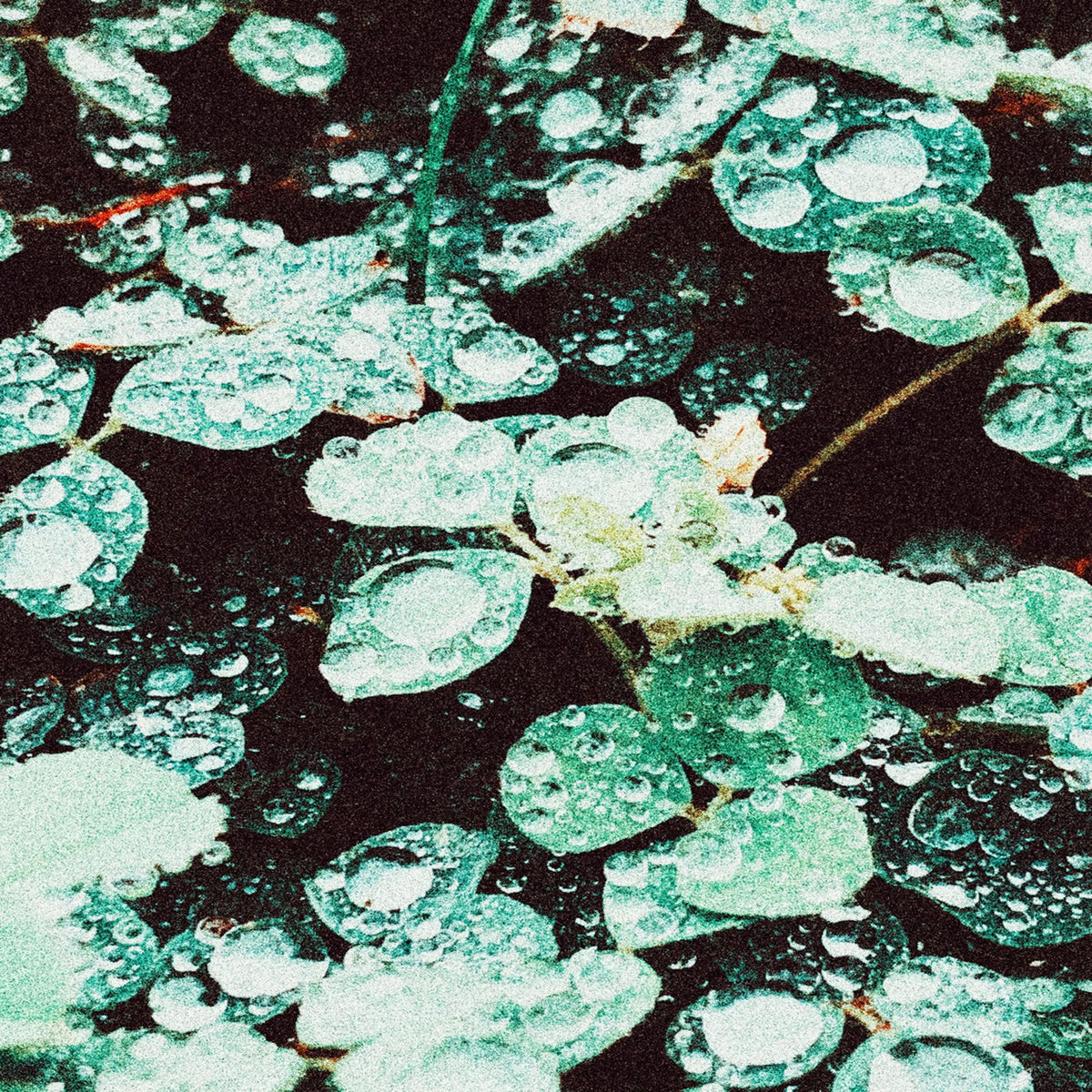 Sadness – Rain chamber vinyl cover