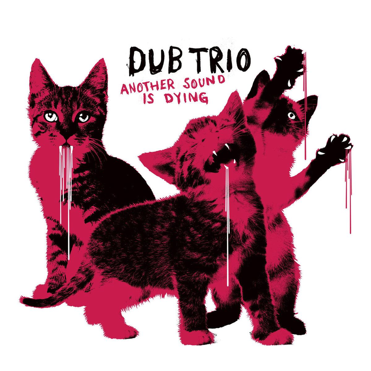 Dub Trio – Another Sound Is Dying vinyl record cover