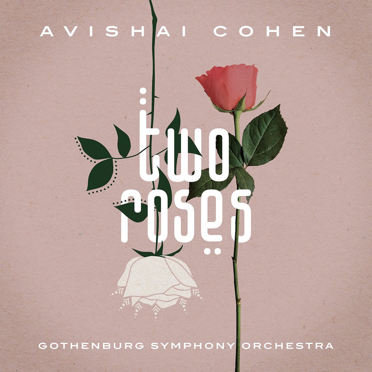 Avishai Cohen – Two Roses vinyl record cover