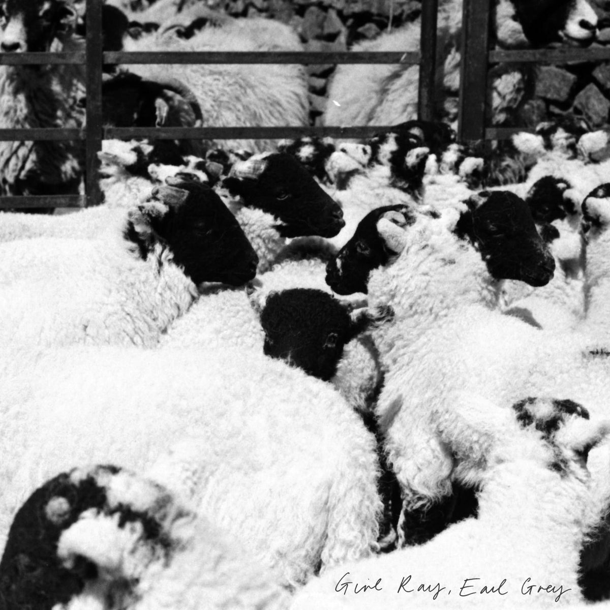 Girl Ray – Earl Grey vinyl cover