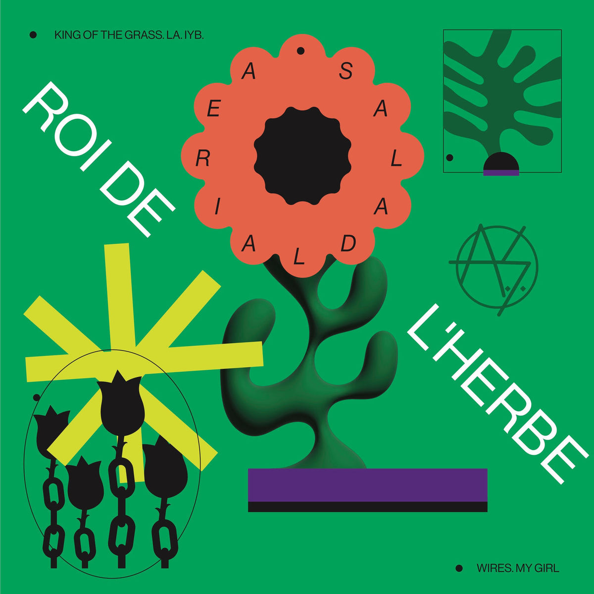 Aerial Salad – Roi De L'Herbe vinyl cover