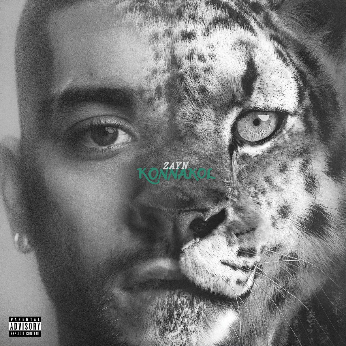 ZAYN – Konnakol — album cover
