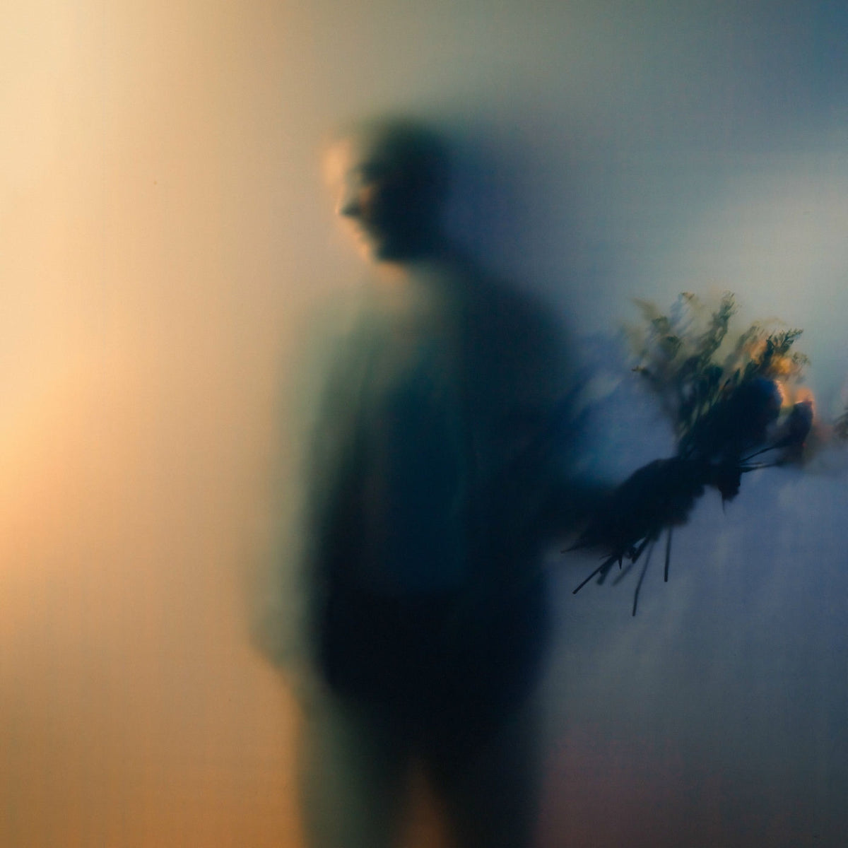 Bohmer, Ben – Bloom [2LP] (PEACH VINYL, DOWNLOAD, GATEFOLD) — album cover