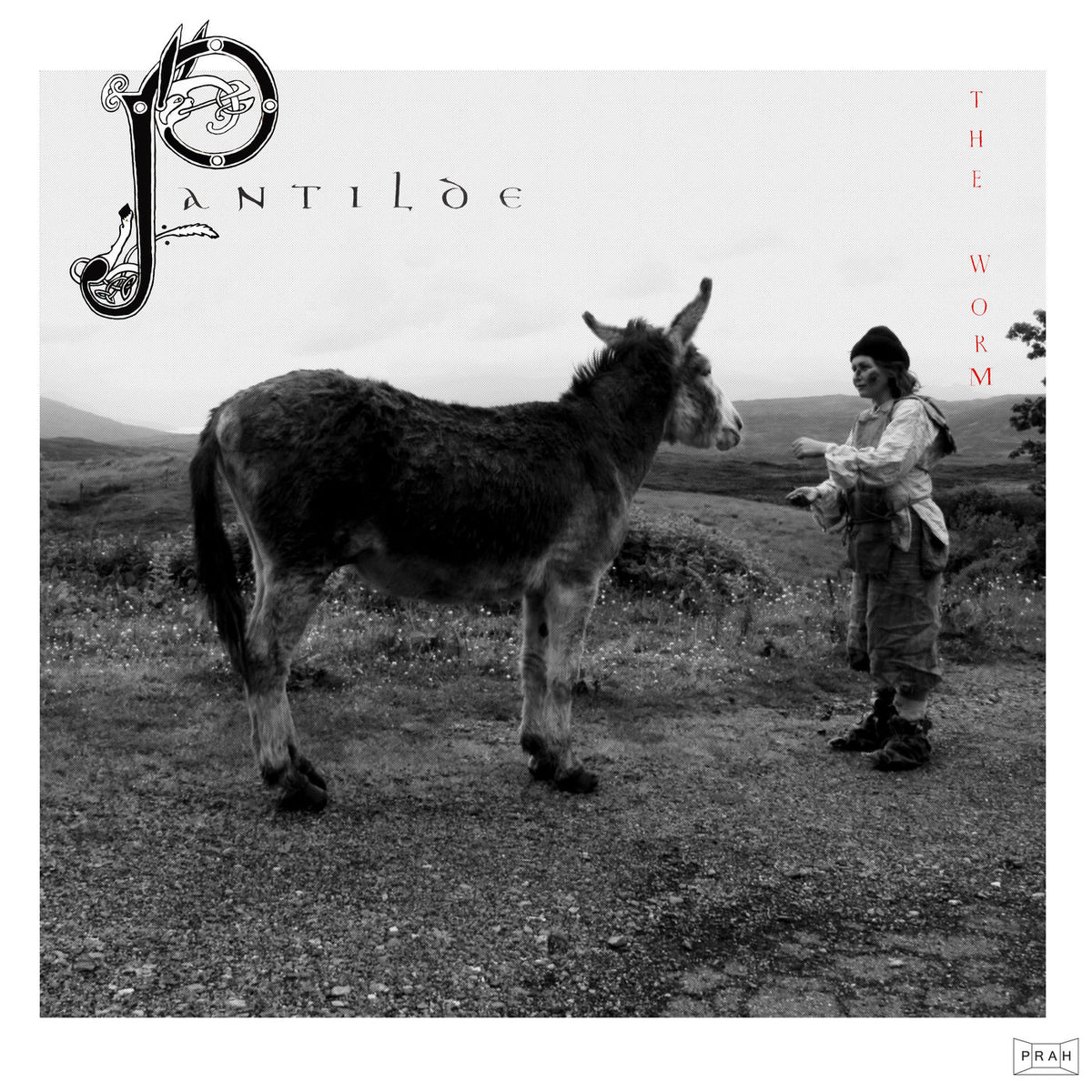 The Worm – Pantilde vinyl record cover