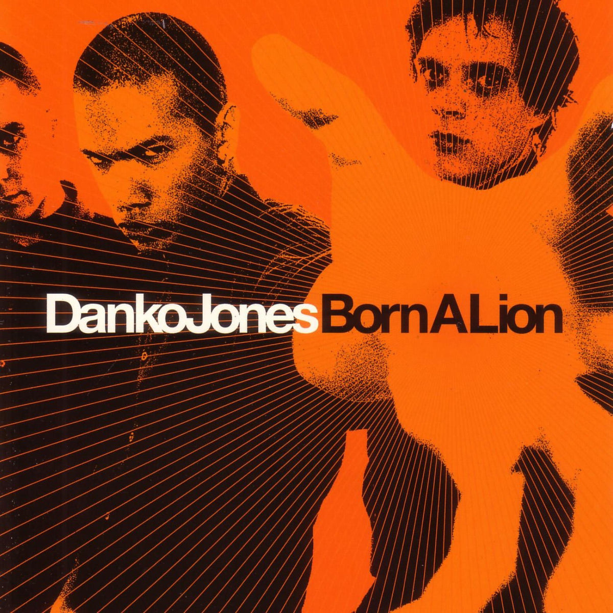 Danko Jones – Born A Lion vinyl record cover