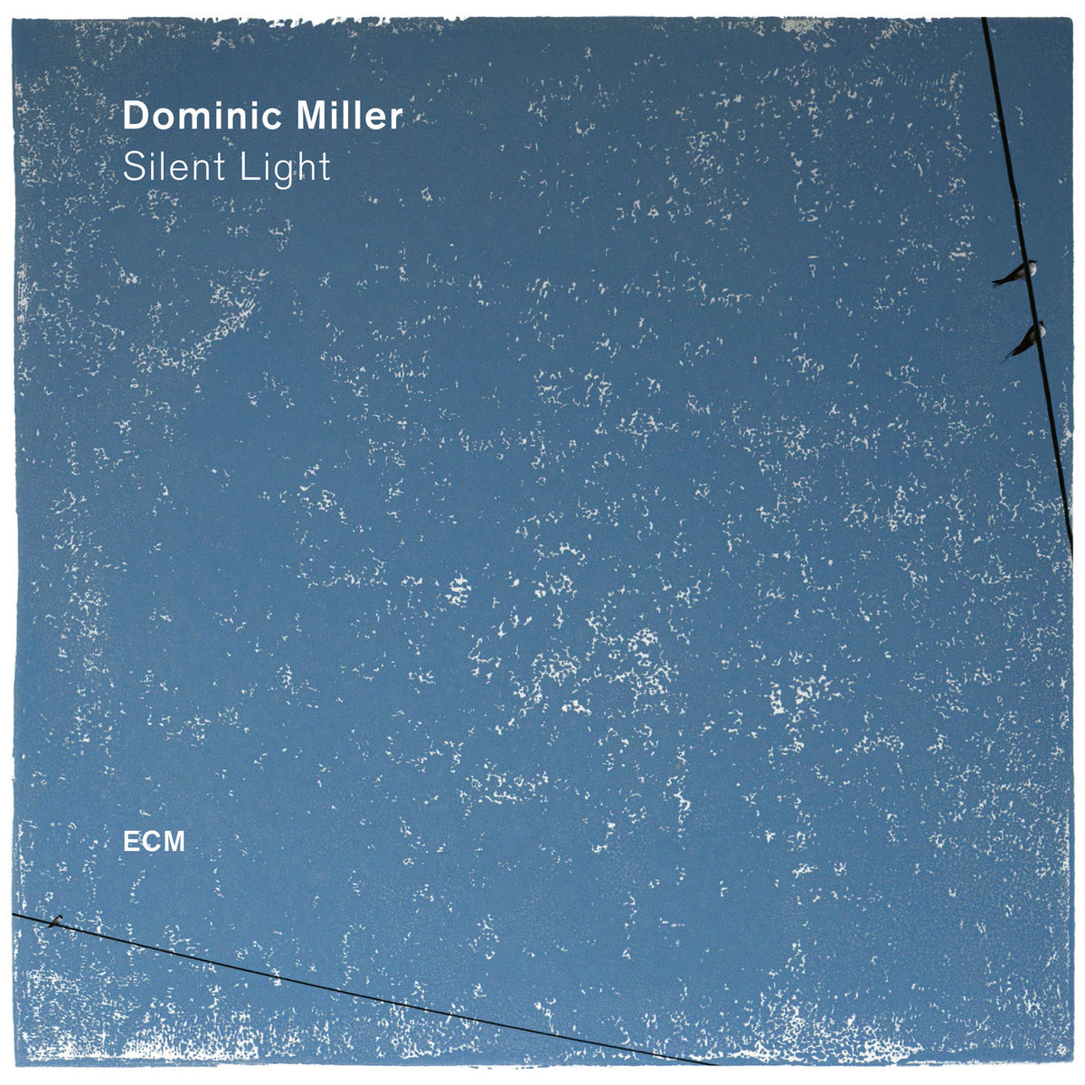 Dominic Miller – Silent Light vinyl record cover