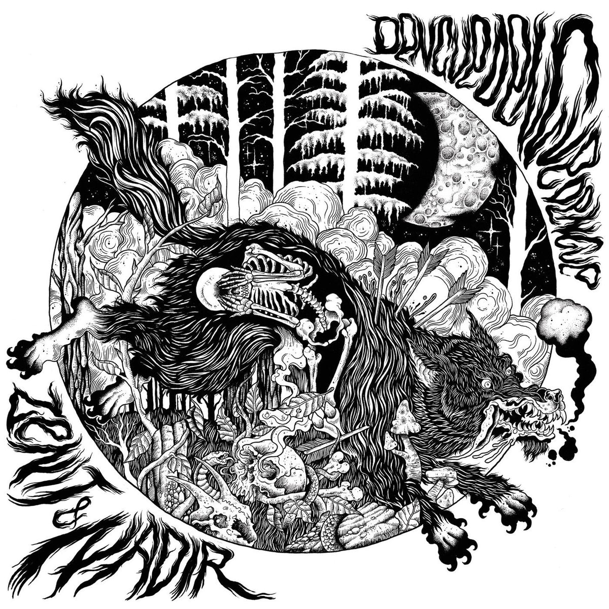 Dengue Dengue Dengue – Zenit And Nadir vinyl record cover