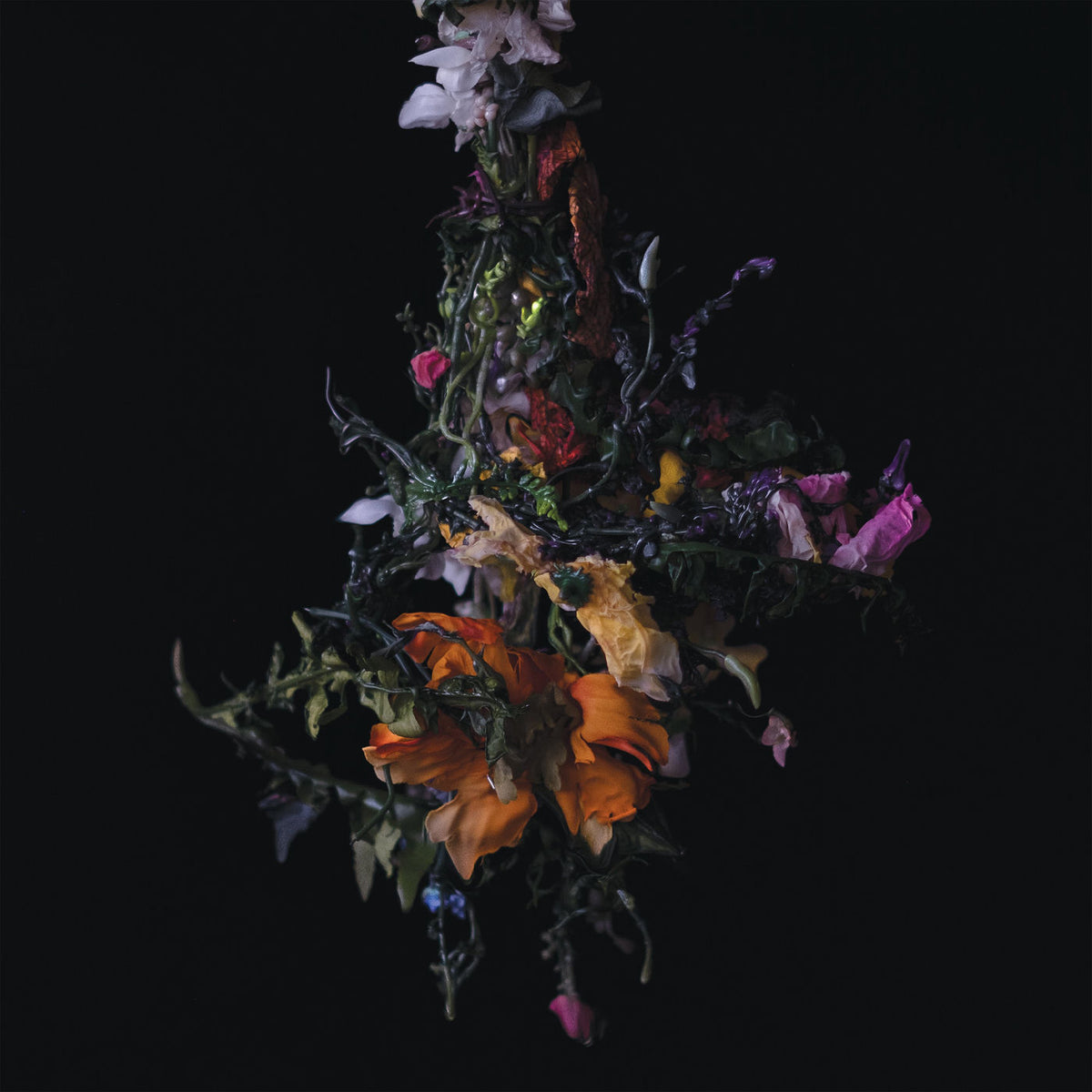 Big Brave – nature morte vinyl cover