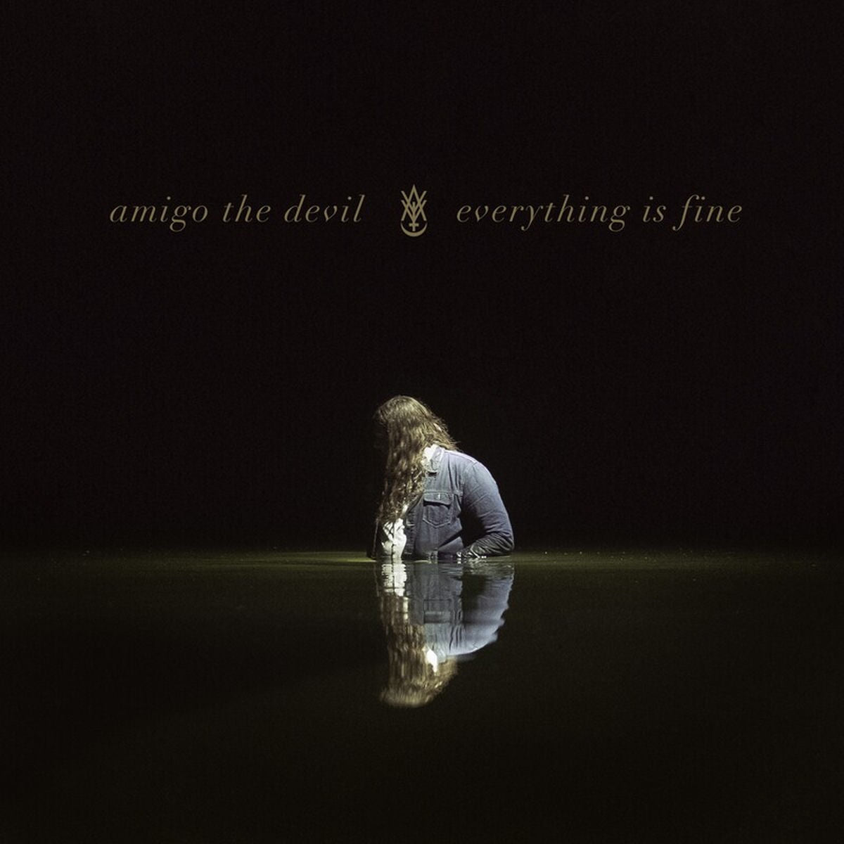 Amigo the Devil – Everything Is Fine vinyl record cover