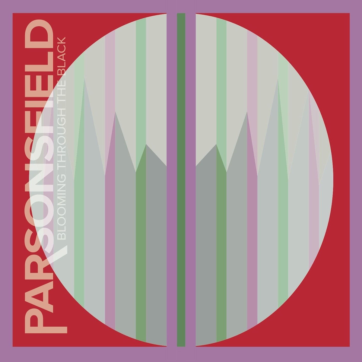 Parsonsfield – Blooming Through The Black vinyl cover