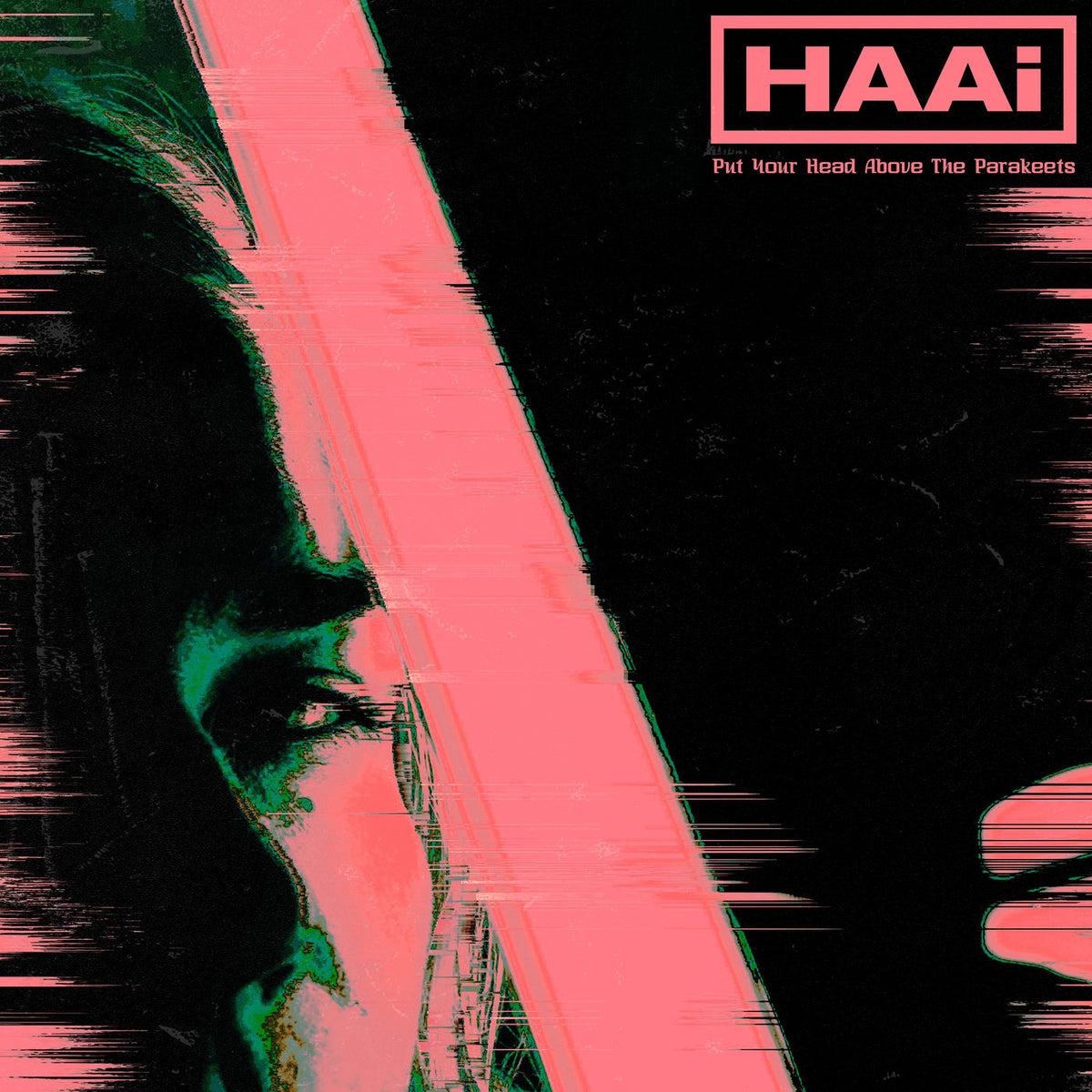 HAAi – Put Your Head Above The Parakeets vinyl cover