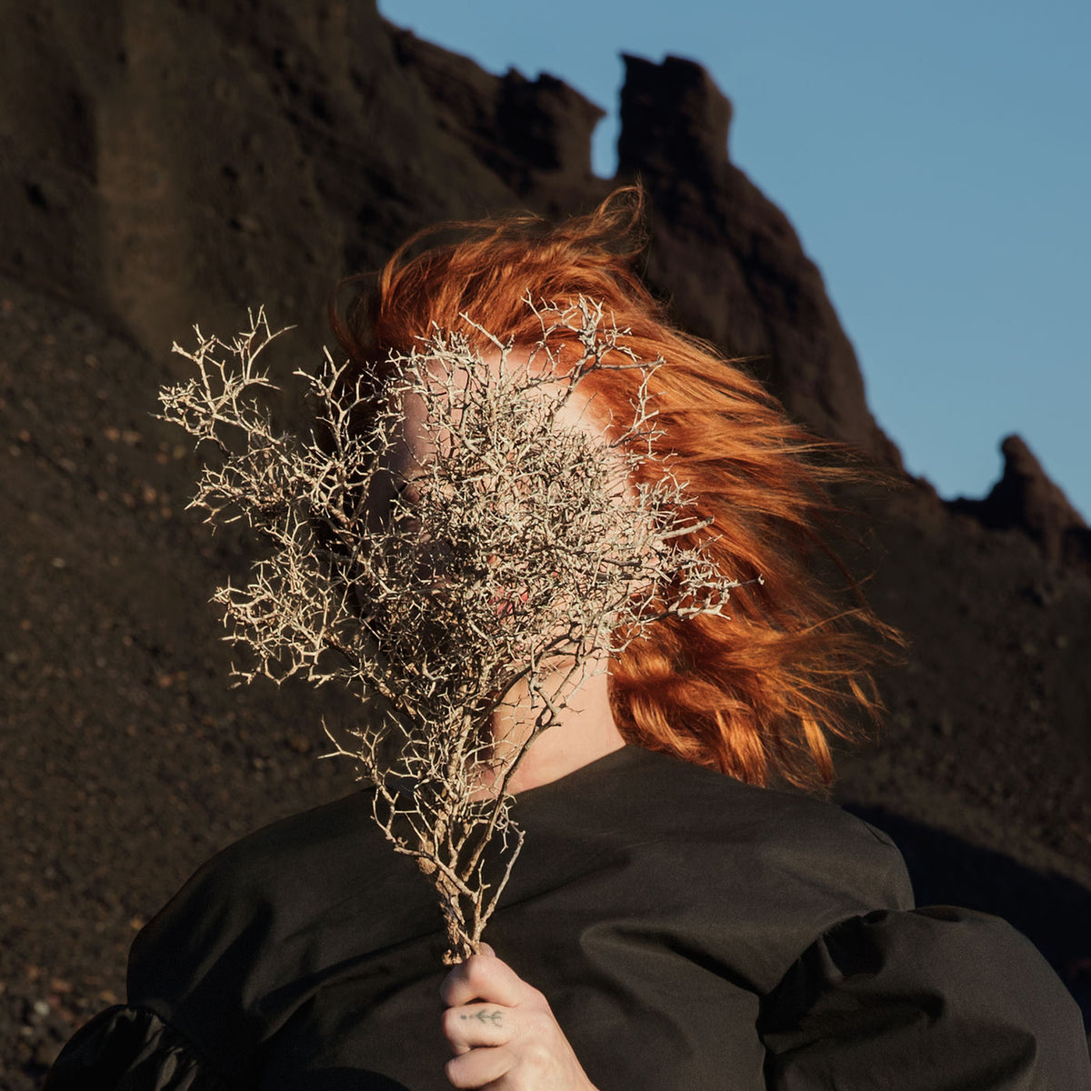 Goldfrapp – Silver Eye vinyl record cover