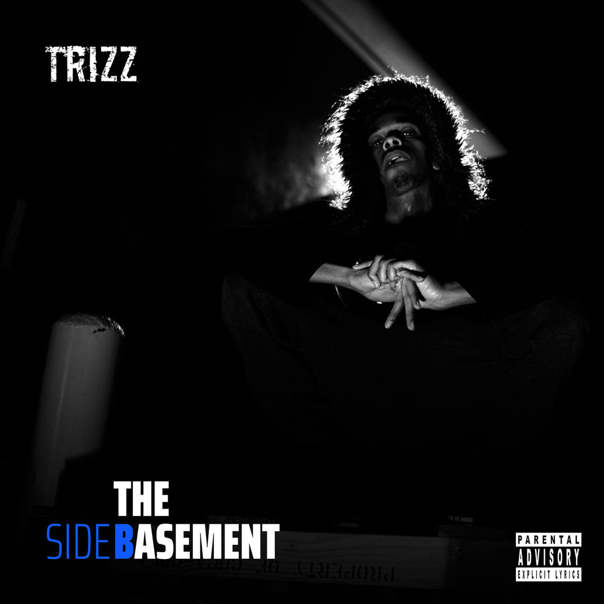 Trizz – The Basement vinyl record cover
