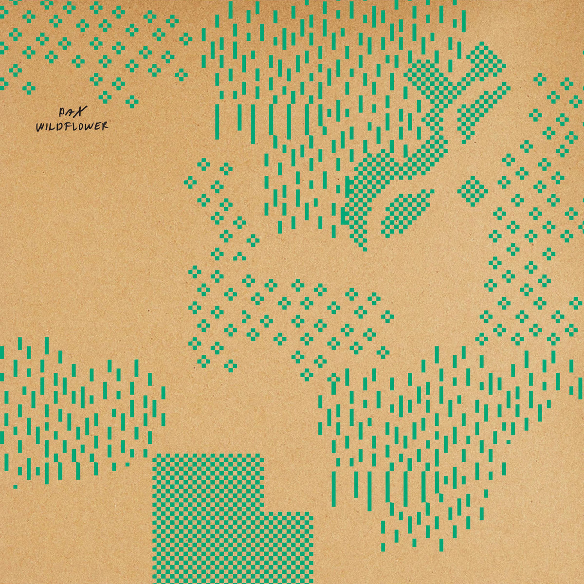 PAX – Wildflower vinyl record cover