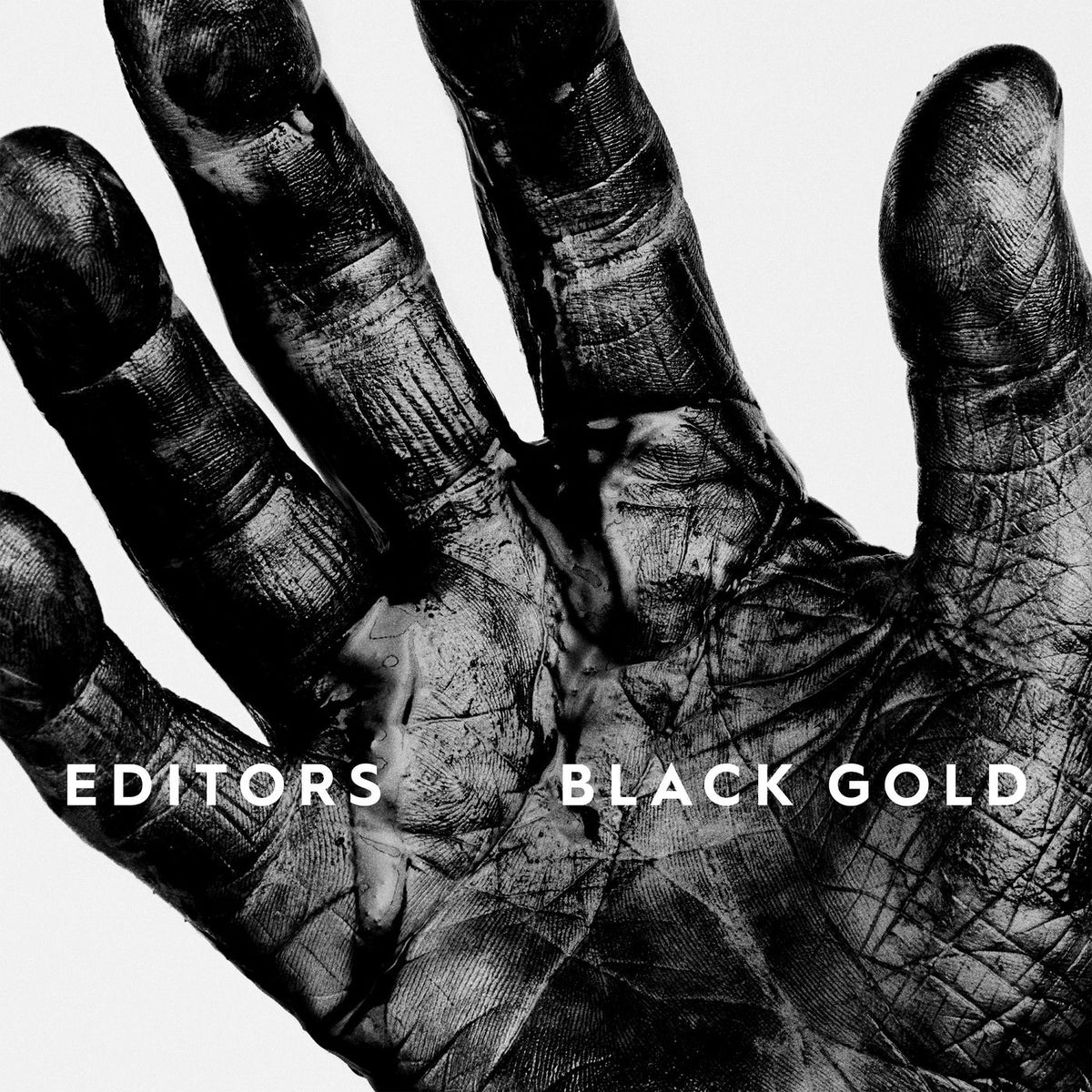 Editors – Black Gold vinyl record cover