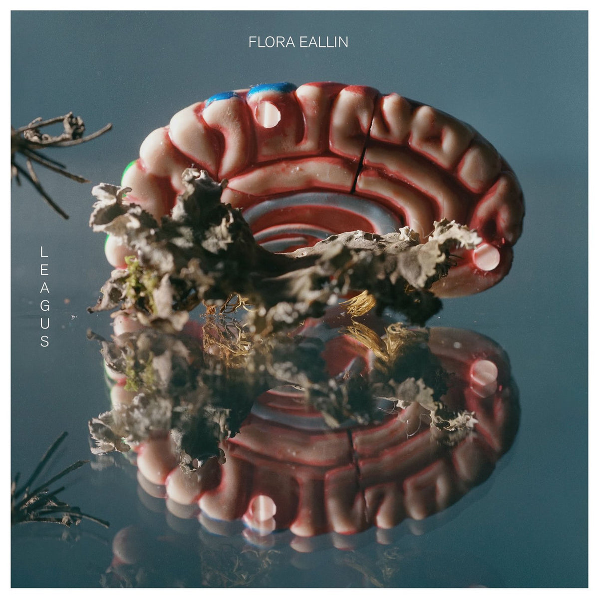 Leagus – Flora Eallin vinyl record cover