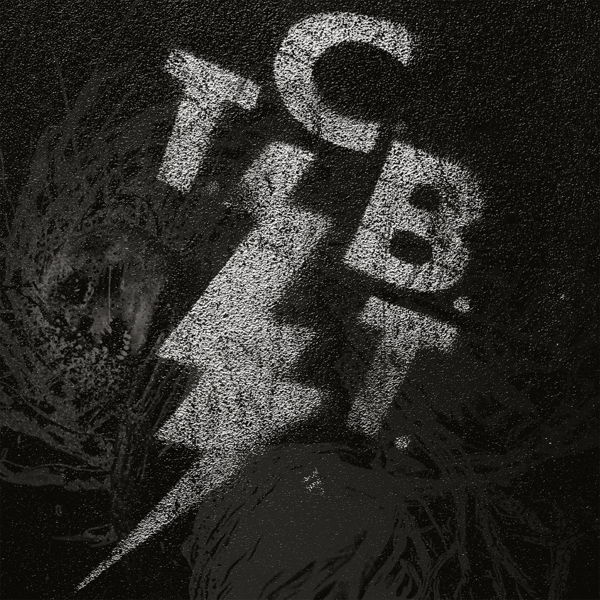 Black Tusk – Tcbt vinyl record cover