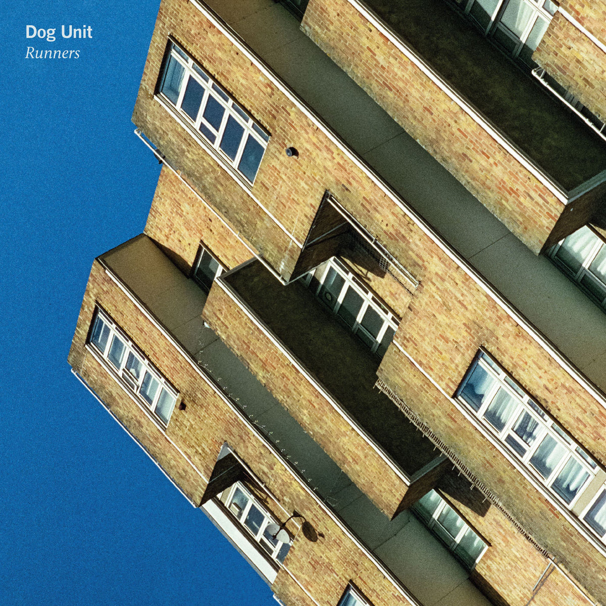 Dog Unit – Runners vinyl cover