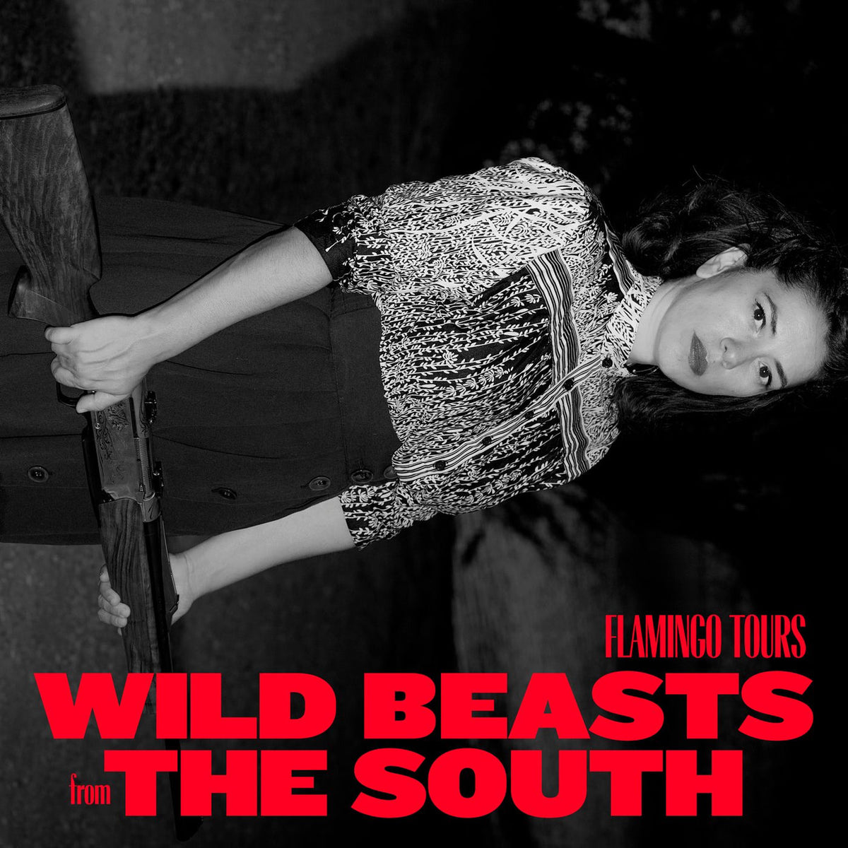 Flamingo Tours – Wild Beasts From The S... vinyl record cover