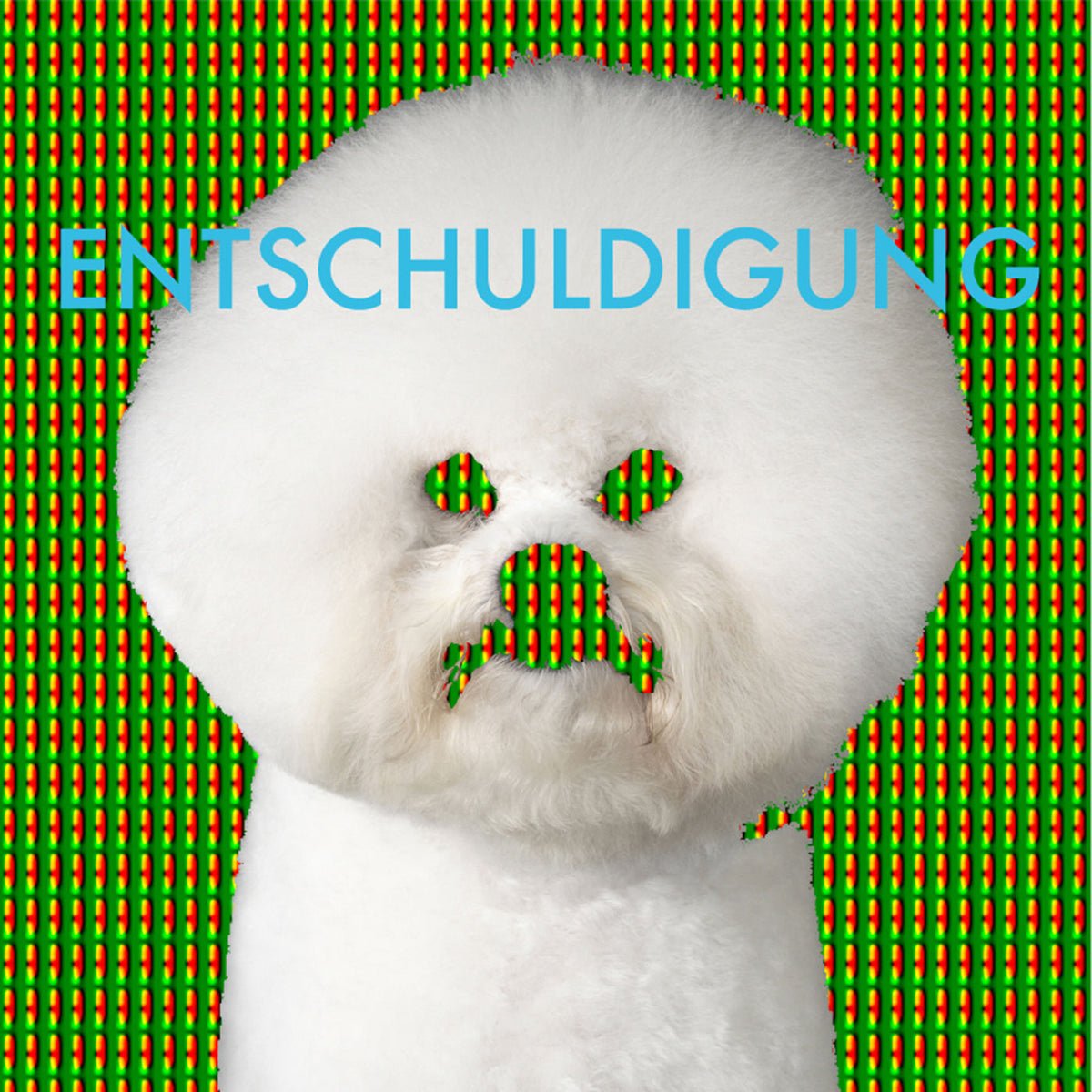 Entschuldigung – Entschuldigung - EP vinyl cover