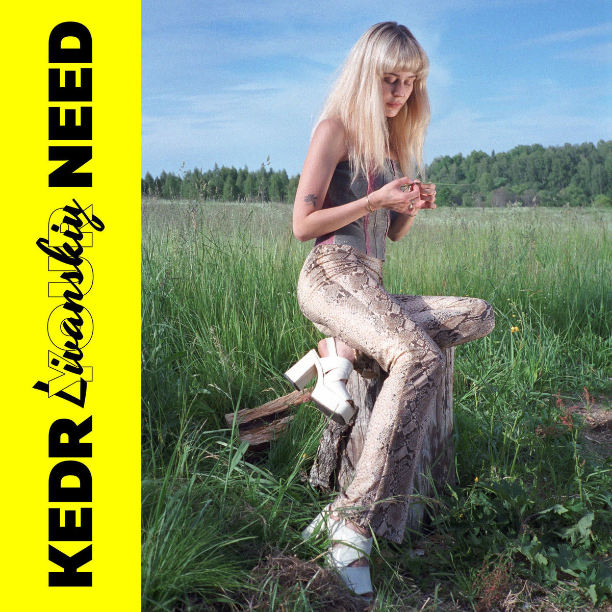 Kedr Livanskiy – Your Need vinyl cover