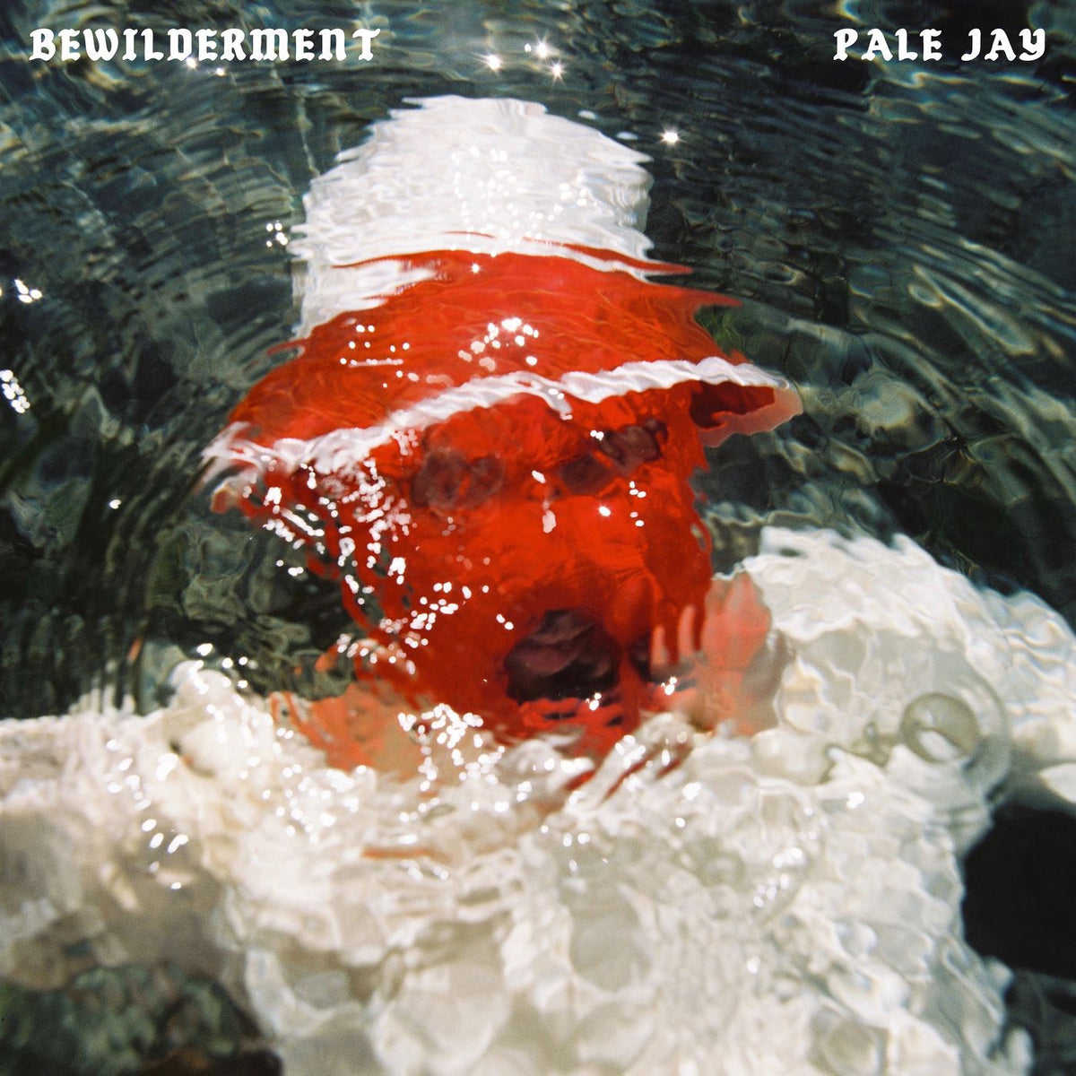 Pale Jay – Bewilderment [LP] vinyl record cover