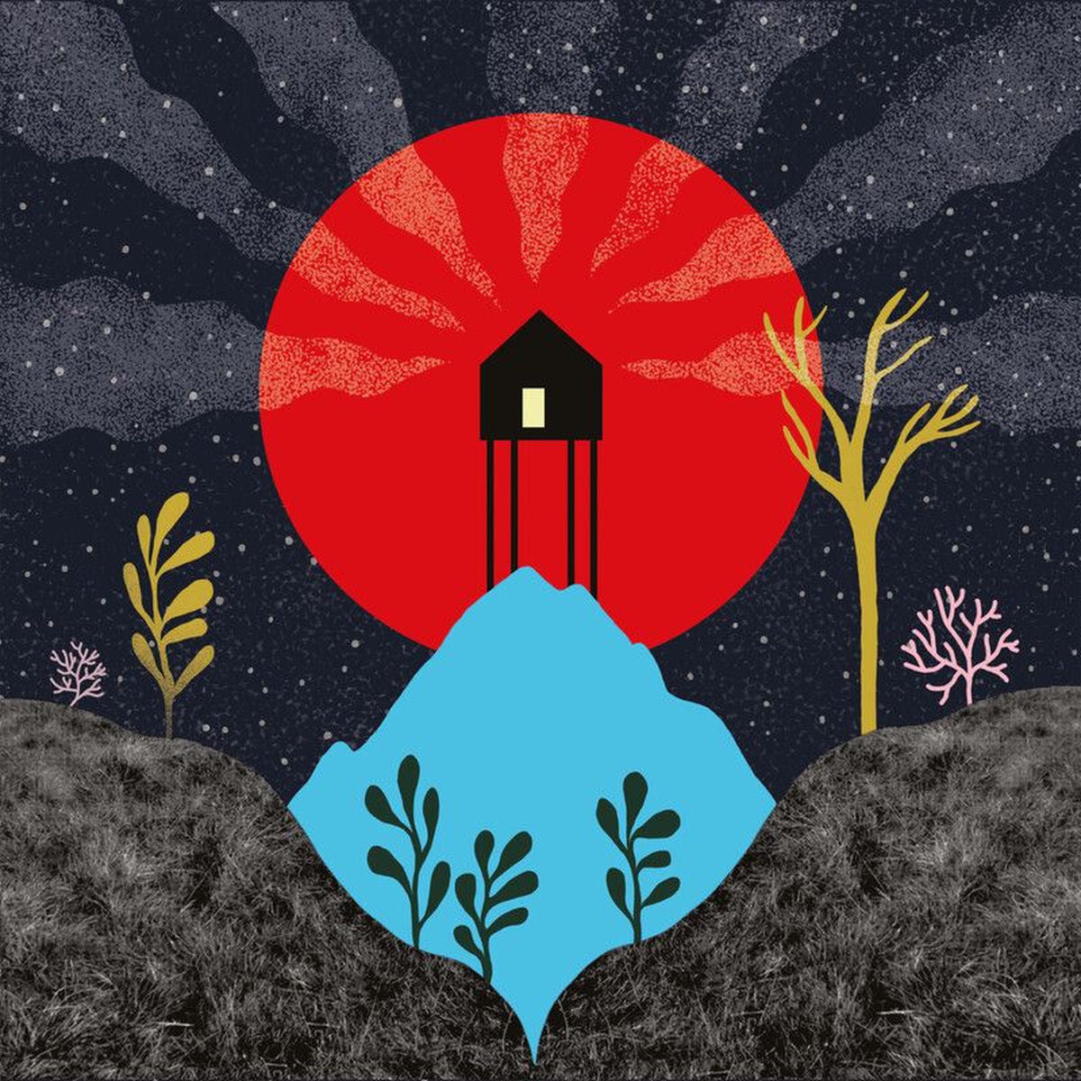 Am Higgins – Hymning vinyl record cover