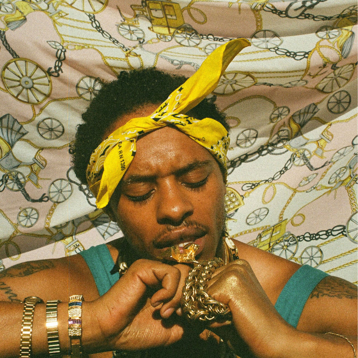 Pink Siifu – Ensley vinyl record cover