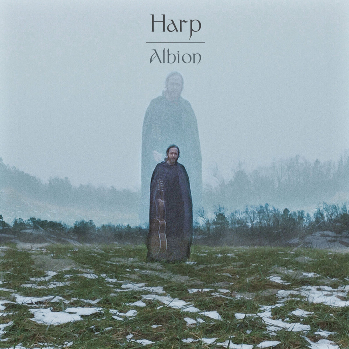 Harp – Albion vinyl record cover