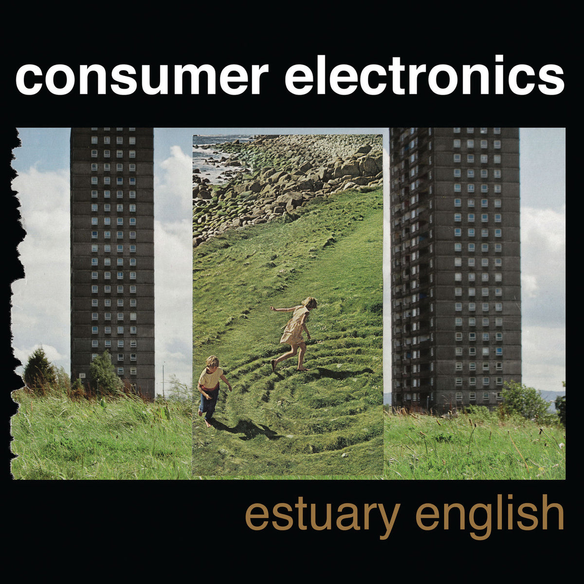 Consumer Electronics – Estuary English vinyl record cover