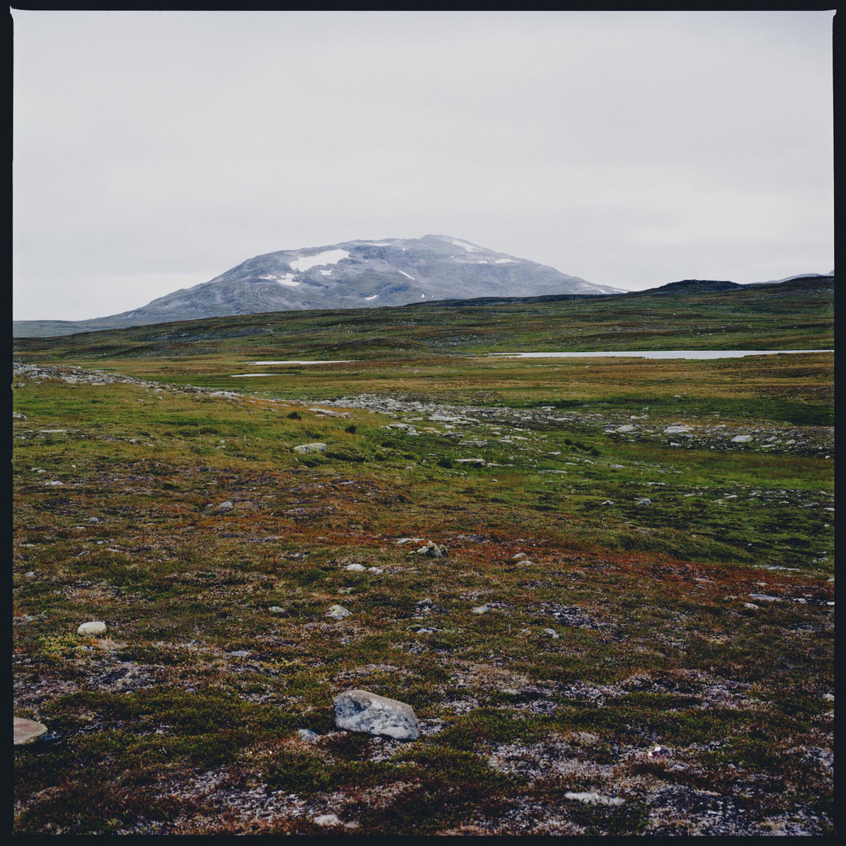 Gidge – Tundra vinyl cover