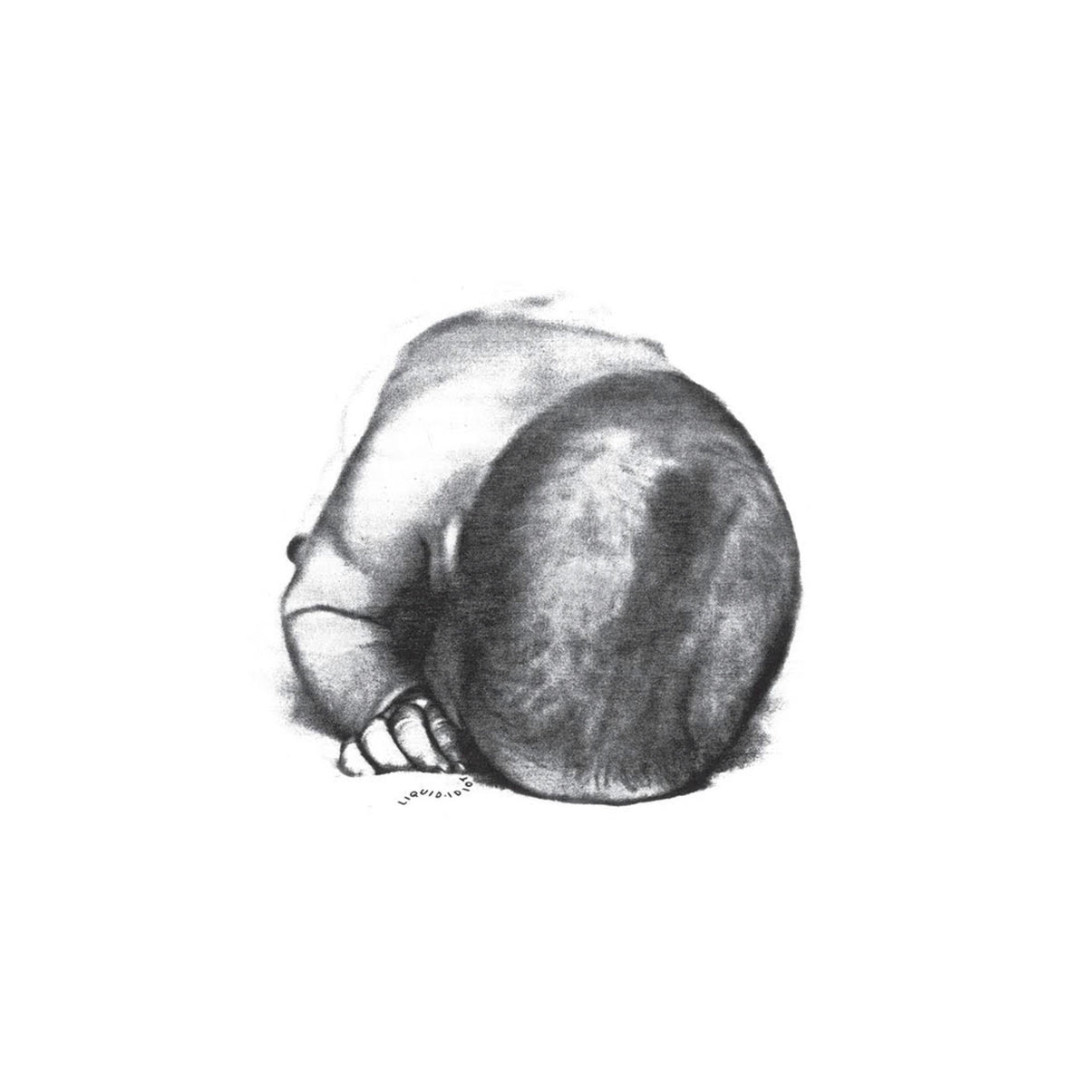 Liquid Idiot – Liquid Idiot | Idiot Orchestra vinyl cover