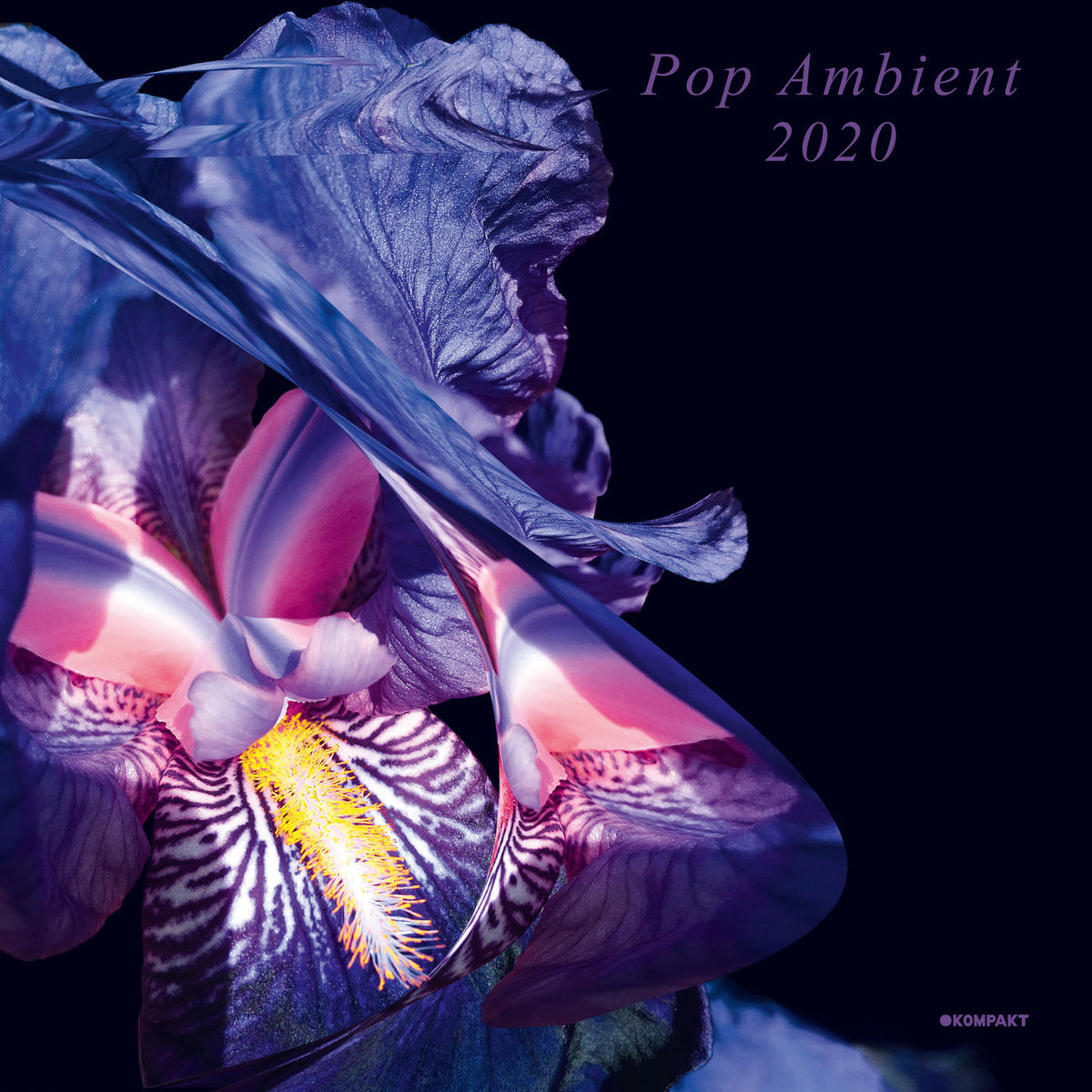 Various Artists – Pop Ambient 2020 vinyl record cover
